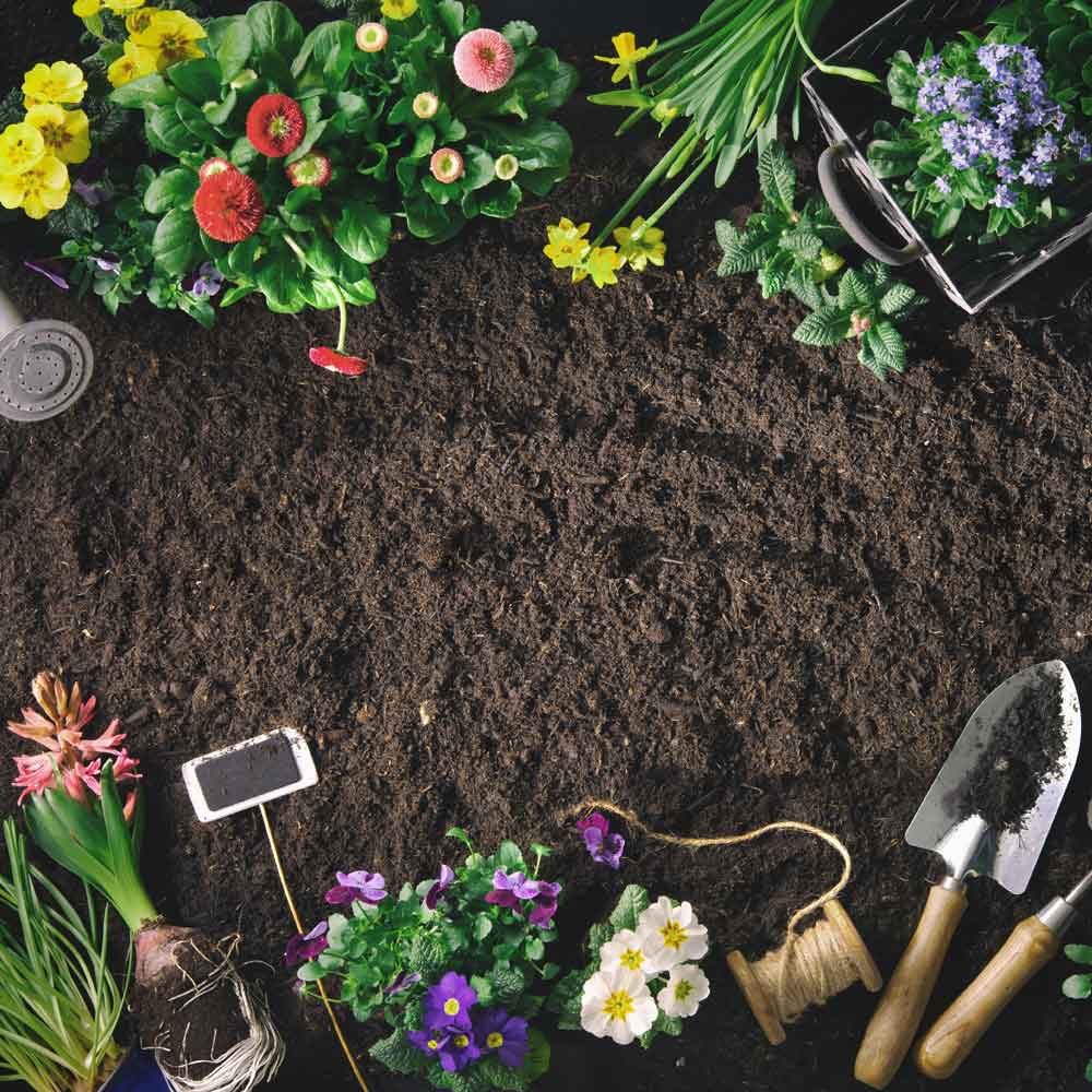 Bordermix® Welsh Topsoil for plants and flowers - Image 2