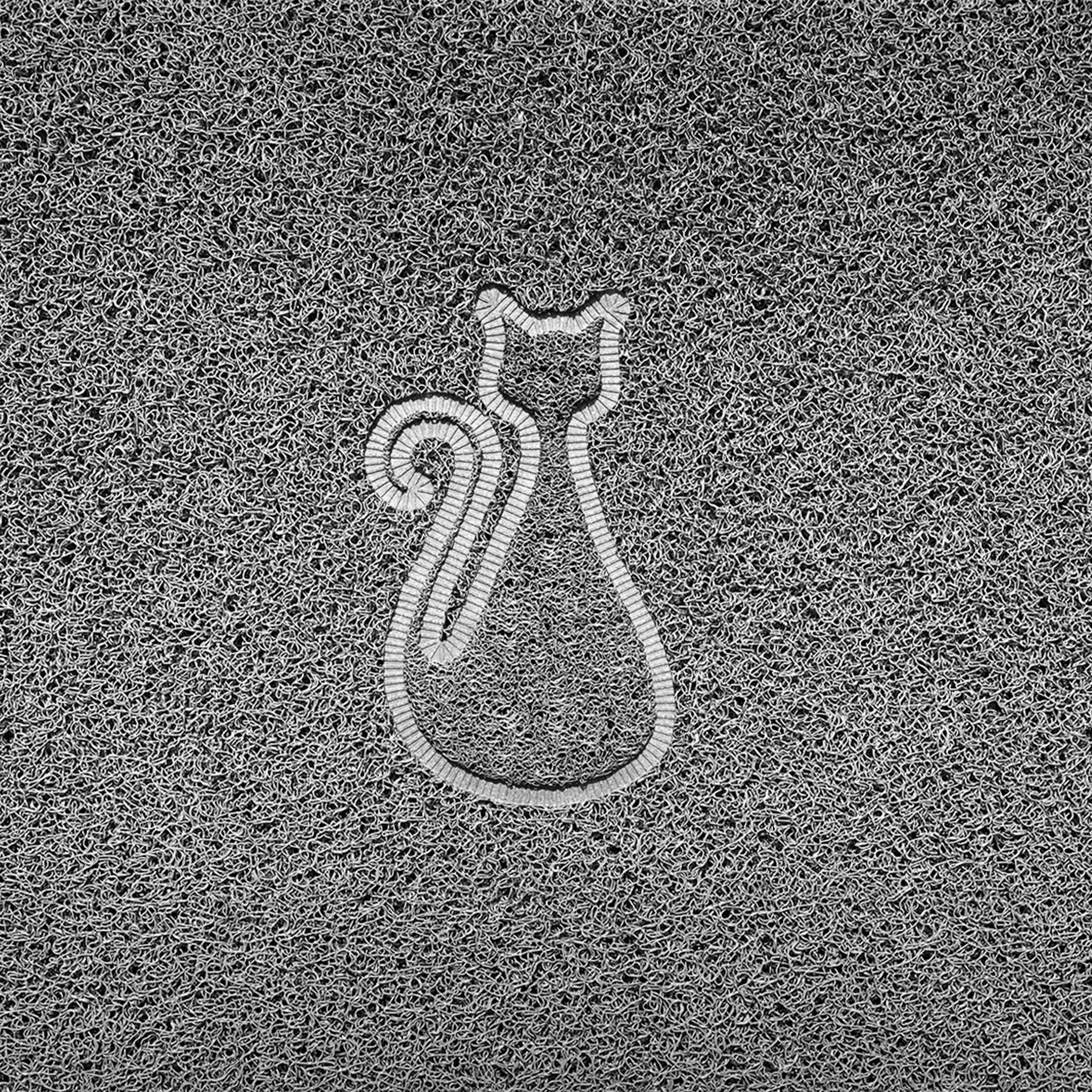 "Cat" Embossed Loofah Textured Spaghetti Door Mat - Image 2