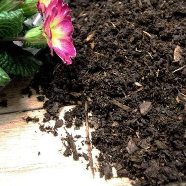 Composted Mulch Bark Fines - Image 4