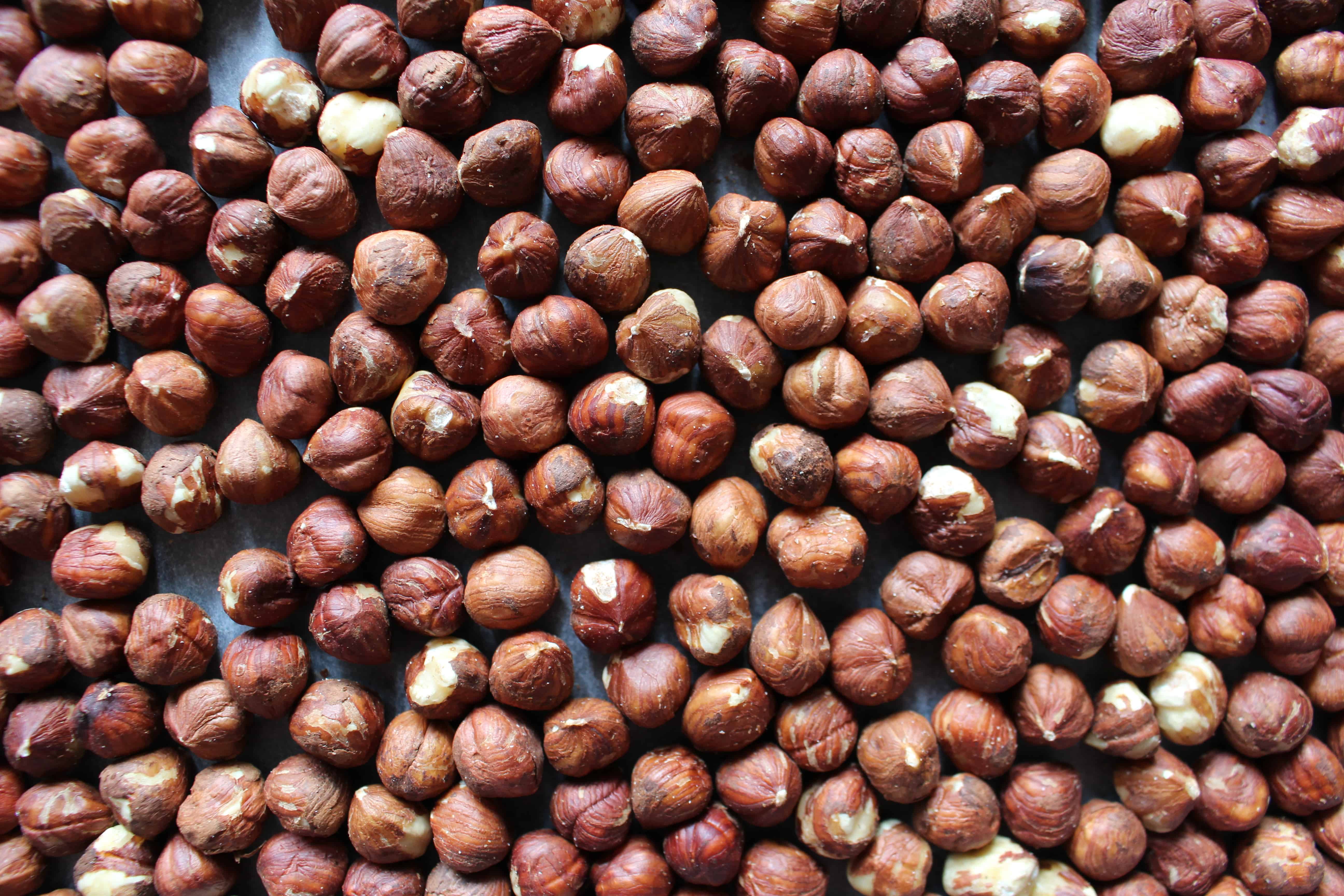 HazelHex 10kg Briquettes - Recycled Hazelnut Shell - Image 4