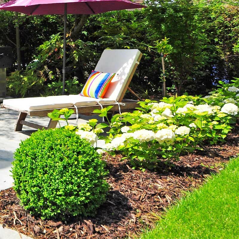 Landscaping Garden Bark Mulch - Image 13
