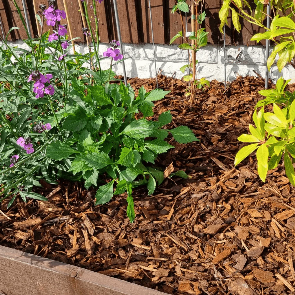 Premium Border Landscaping Bark Mulch - Image 3