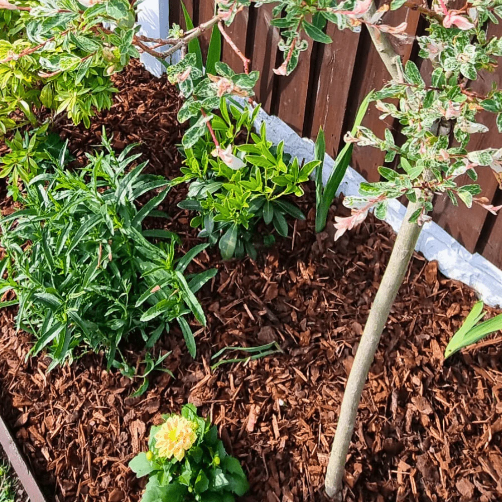 Premium Border Landscaping Bark Mulch - Image 5