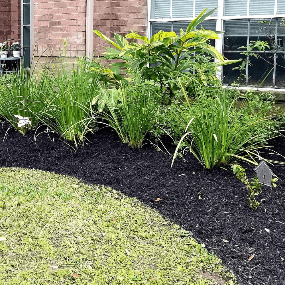 Soil Improver Conditioner - Image 9