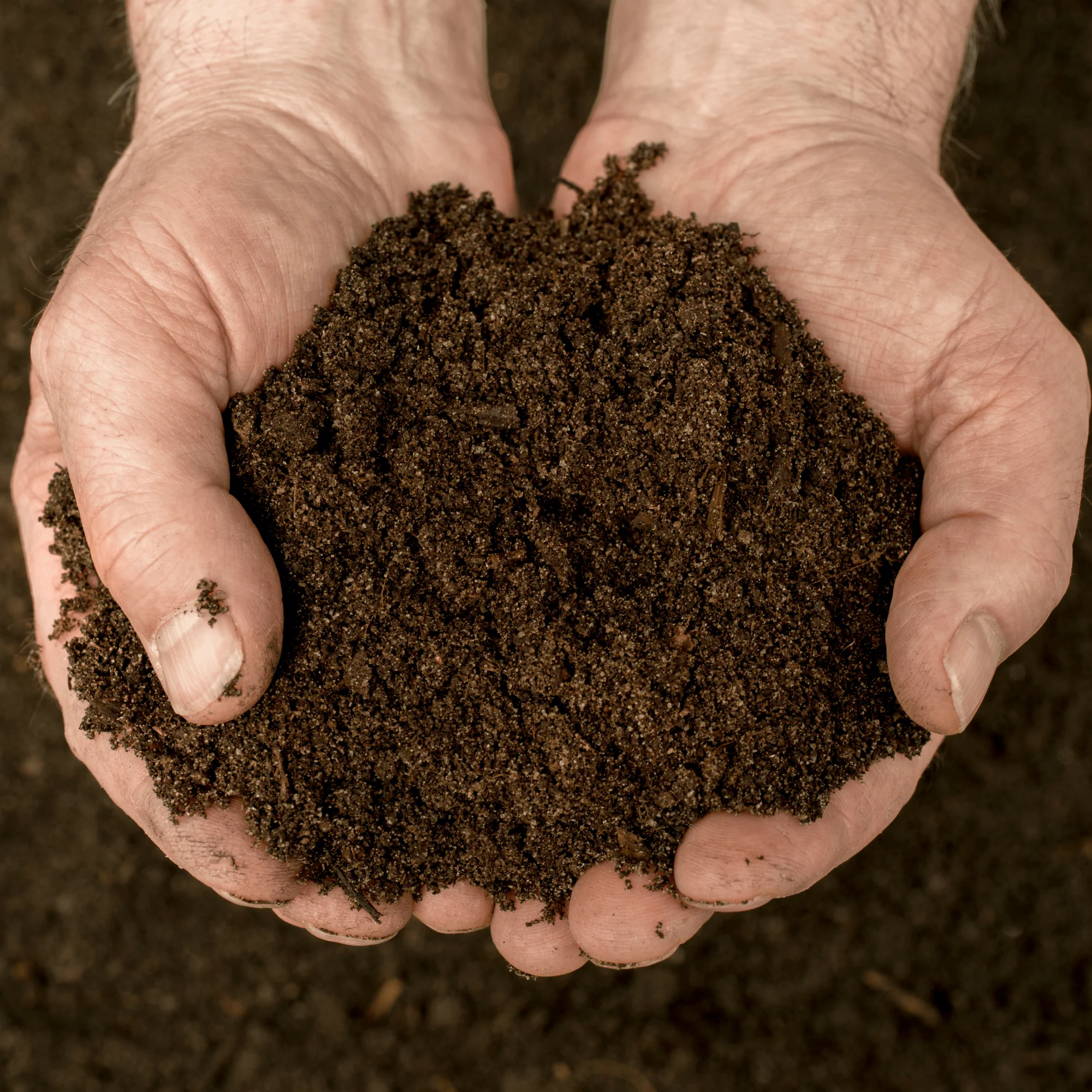 VegeGrow® Welsh Topsoil for vegetables - Image 4