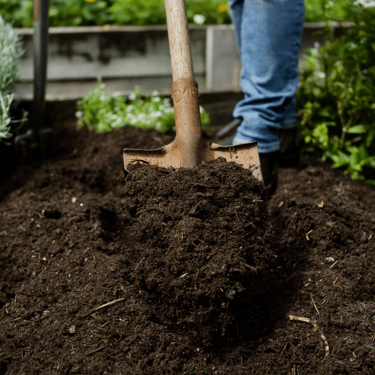 Wintermix Compost Garden Mulch - Image 3